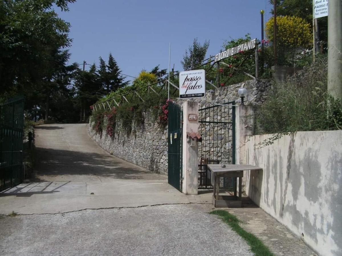 B&B Passo Del Falco Sorianello 外观 照片