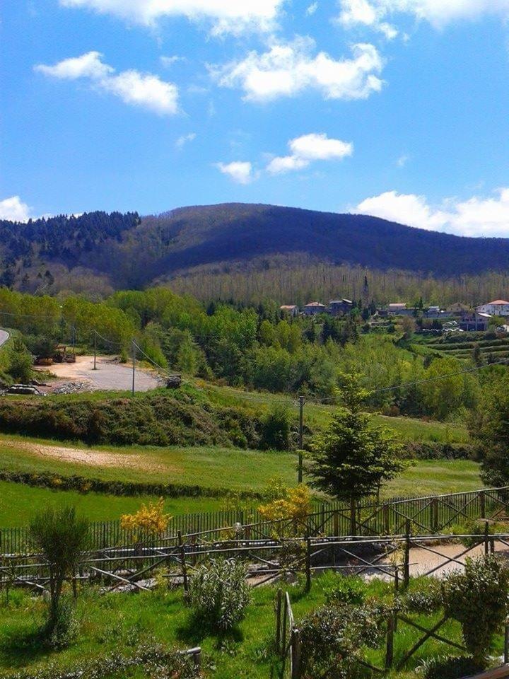 B&B Passo Del Falco Sorianello 外观 照片