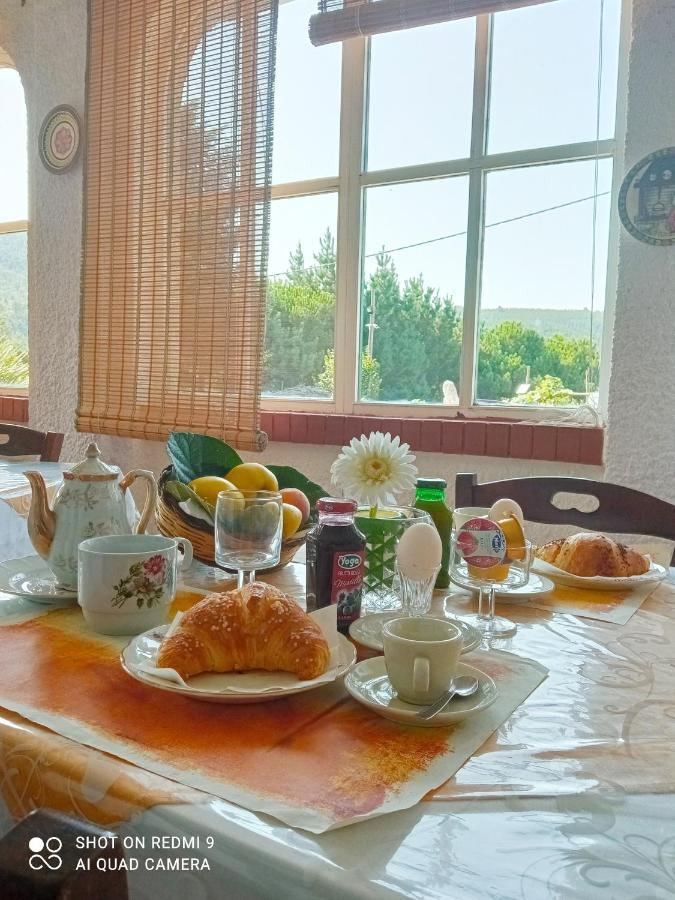B&B Passo Del Falco Sorianello 外观 照片