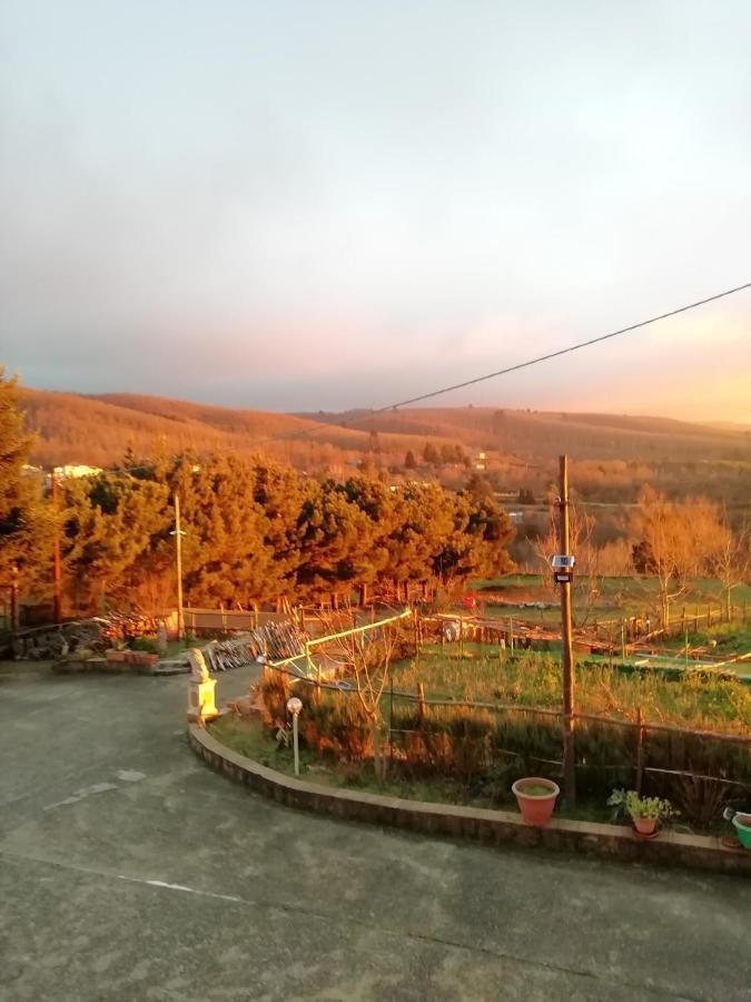 B&B Passo Del Falco Sorianello 外观 照片