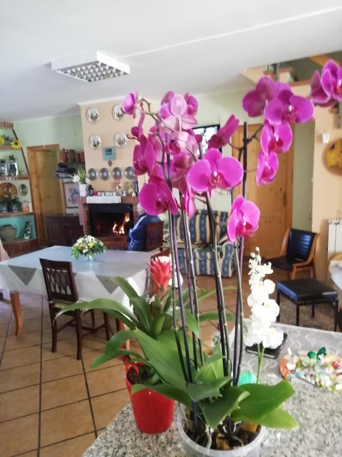 B&B Passo Del Falco Sorianello 外观 照片