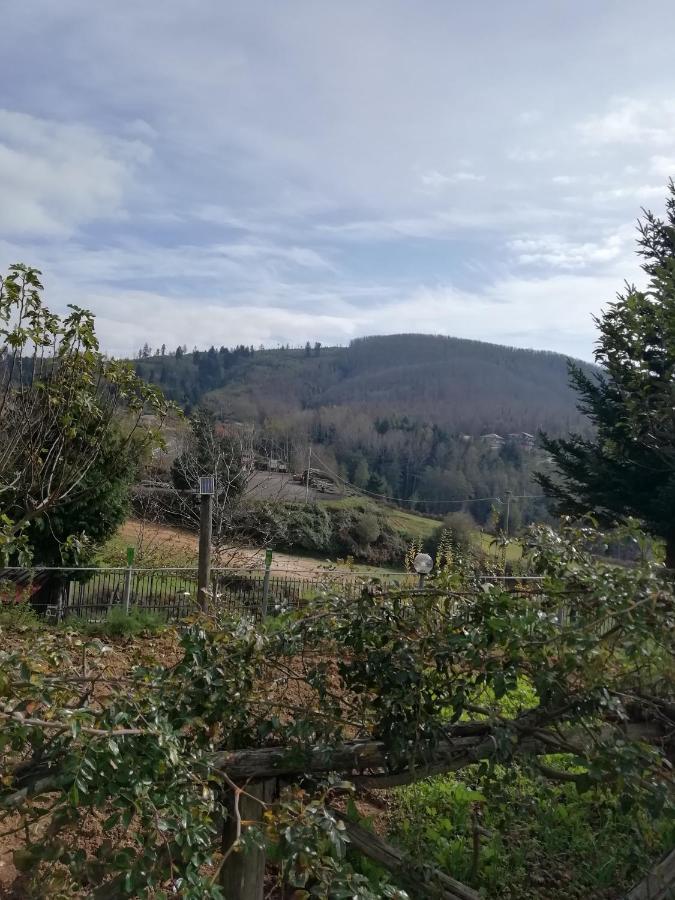 B&B Passo Del Falco Sorianello 外观 照片